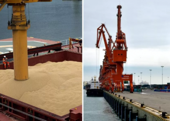 China aumenta importação de soja dos EUA em 320% e reduz do Brasil